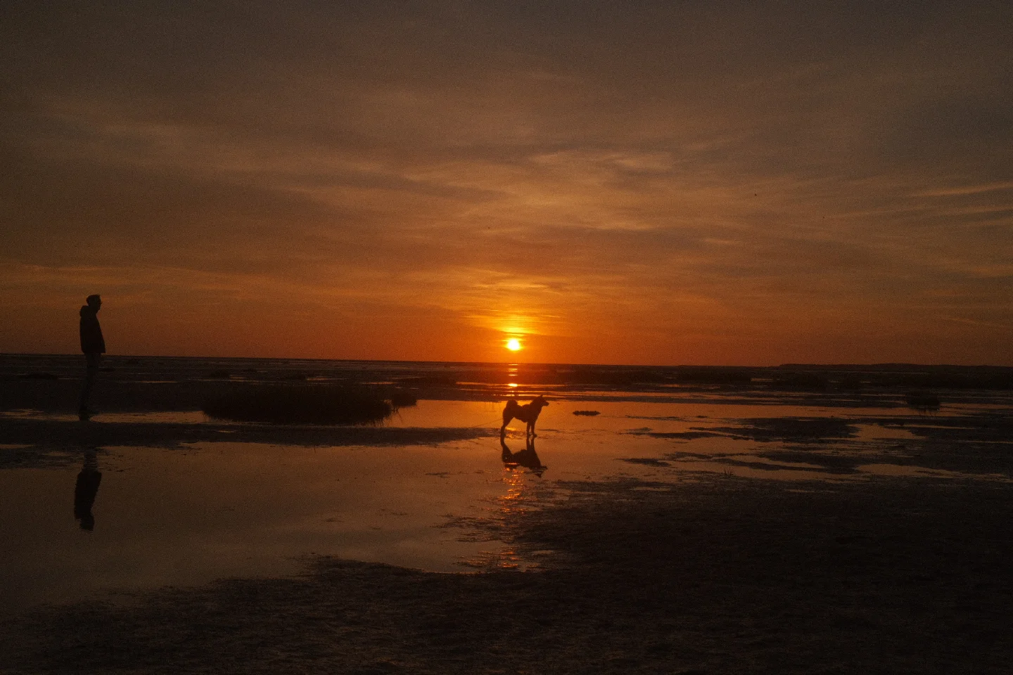 Ma situation actuelle (Décembre 2025) article image